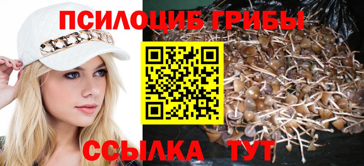 Псилоцибиновые грибы GOLDEN TEACHER  что такое   Костомукша  Вход с VPN  Галлюциногенные грибы мухоморы 